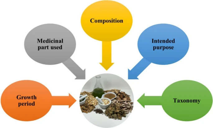 Nutritional Supplements